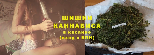 ALPHA PVP Каменка