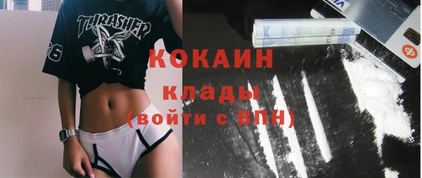ALPHA PVP Каменка