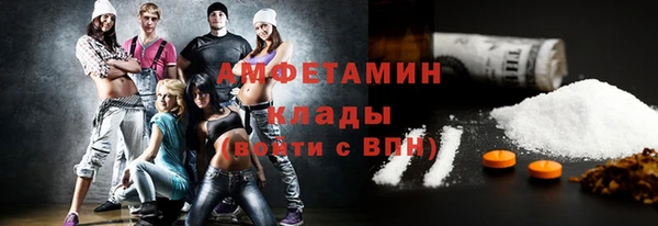 ALPHA PVP Каменка